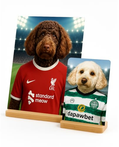 Personalised Pet Portrait Dog Football Gift From Photo Metal Desktop Picture Frame With Stand Custom Memorial Keepsake A5