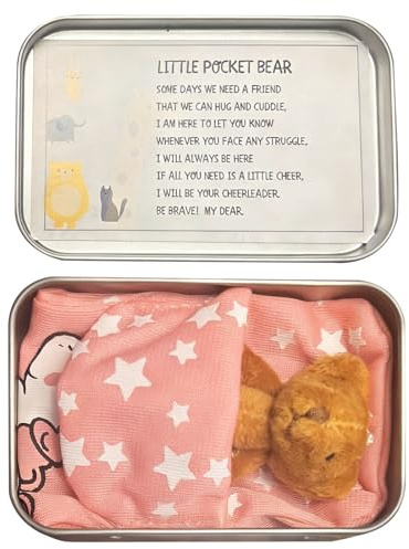 Copbopw Bear in a Box, Little Pocket Bear Hug for Comfort, Tiny Teddy Bear Gift for Good Luck, Get Well Soon, Birthday, Party Favors for Adult, Women, Friends