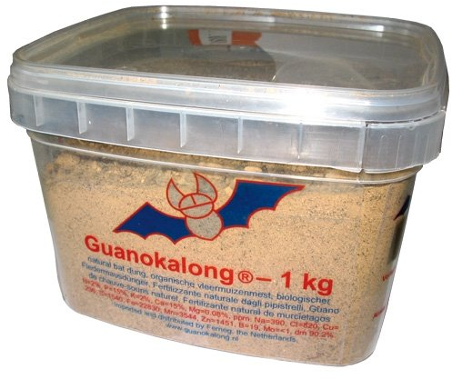 Guano Kalong Pulver 1 kg Pflanzendünger