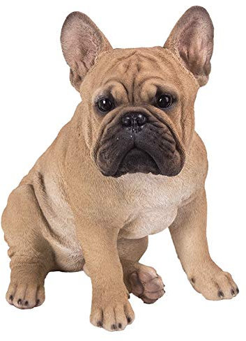 Pacific Giftware Französische Bulldoggen Figur - Realistisch lebensecht Hund Dekofigur Geschenk für Hundeliebhaber