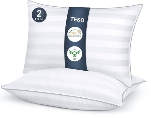 TESQ Oreiller 50x70 cm Lot de 2 Oreillers Confort Moelleux, Qualité Hôtelière de Luxe, Respirant et Hypoallergénique, Idéal pour Dormeurs sur Le Côté, Le Dos et Le Ventre, Lavable