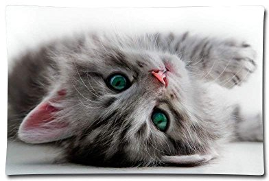 YISUMEI Kissenbezug Kissenhülle 40x80 cm Home Decor Dekokissen Fall Sofa Werfen Kissenbezüge Pillowcases Schöne Katze Kätzchen