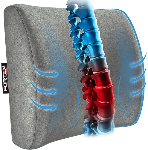 FORTEM Cuscino Lombare Sedia Ufficio, Cuscino Lombare Auto, Supporto Schiena Sedia Gaming, Cuscino Ergonomico, Cuscino in Memory Foam, Cuscino per Sedia da Scrivania, Fodera Traspirante e Lavabile