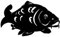 KARPFEN, die BESONDERE Deko - B=50cm aus 3mm STAHL ein FISCH zu verlieben