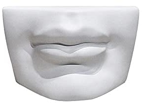 LZHLMCL Skulptur Dekoration Harz Fünf Sinne Nase Ohr Imitation Gips Abstrakt Menschliches Gesicht Dekorative Ornamente Home Dekorationen Mund
