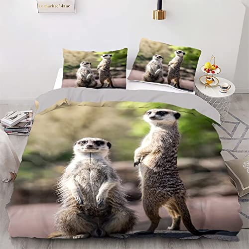 LUYAPOND Bettwäsche 135x200 Erdmännchen Bettwäsche Set für Kinder, Mikrofaser Bettbezüge, 1 Bettbezug mit Reißverschluss + 1 Kissenbezug 80x80 cm