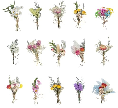 Mengger 15Pcs Bündel Getrocknete Blumenstrauß Deko Klein Natürliche Trockenblumen Natürliche Blumen Getrocknete Set DIY-Arrangement für Kunst Bastel Scrapbooking Zufällige Stil