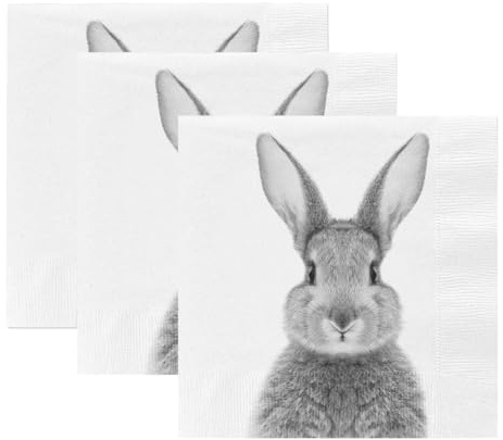 itsisa Servietten Hase Osterhase 3 x 20er Pack (33x33 cm) - Papierservietten Hase, Tischdeko Ostern, Osterserviette Osterhase