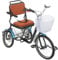 Dreirad für ältere Menschen, kompakt und langlebig, einfache Montage, mit Rückenlehne und Korb - ideal für Gehhilfe im Alltag - 3-Rad-Fahrrad, 20''+16'' Überschlag verhindern - Dreirad (Schwarz)