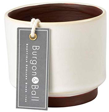 Burgon & Ball Malibu Succulent Planter Plant Pot, Cream