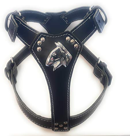 Hundegeschirr, Leder, Schwarz, English Bull Terrier