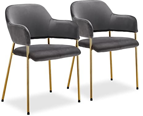 CLIPOP Esszimmerstühle Samt Gepolsterte Küche Freizeit Stühle mit Armlehne und Golden Chrom Beinen, Lounge Empfang Stuhl für Zuhause Wohnzimmer Schlafzimmer (2er Set, Grau)