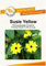 Blumensamen Susie Gelb - Schwarzäugige Susanne Portion