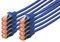 Digitus DK-1644-0025-B-10 Cavo FTP Cat 6 S/Alimentazione di Rete, LSZH, Rame, AWG 27/7 Blu Blau 0.25 m, Cat-6 - 0,25 m (10 Pezzi), Cavo patch - S-FTP - LSZH