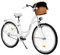 MILORD. 28 Zoll 3-Gang weiß Komfort Fahrrad mit Korb und Rückenträger, Hollandrad, Damenfahrrad, Citybike, Cityrad, Retro, Vintage