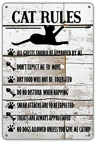 Bioputty House Rules, 30,5 x 20,3 cm, Vintage-Poster, Wanddekoration, Kunst, Geschenk, Retro-Bild, Metallschild