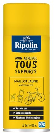RIPOLIN, Solution Vélo, Aérosol Peinture, Finition Mate, Format Spray pour | Finition Mate Élégante et Durable, Polyvalence pour Divers Supports, Qualité Ripolin pour des Résultats Professionnels