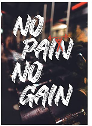 ZONJEE No Pain No Gain Leinwand Gemälde Moderne Poster Wandkunst Bild for Wohnzimmer Dekoration Rahmenlos (Color : XY359, Size : 60x90cm no Frame)