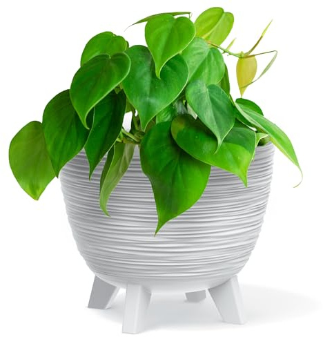 B2C Bowl Planter Plant Pot with Legs Oval Flower Modern Decorative FURU Indoor 4 Colours Modern Elegant Plqastic Matt Finish Textured Home Office Balcony Lightweight (White, 39.5m)