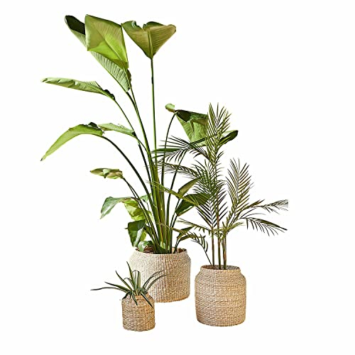 Loberon Lot de 3 Cache-Pots Elisha, Marron