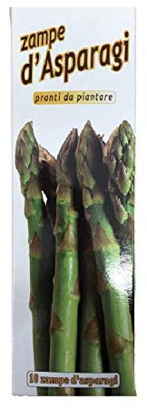 10 Pz Zampe Di Asparago Verde Germogli Perenni Pronti Da Piantare Pianta Semi Asparagi