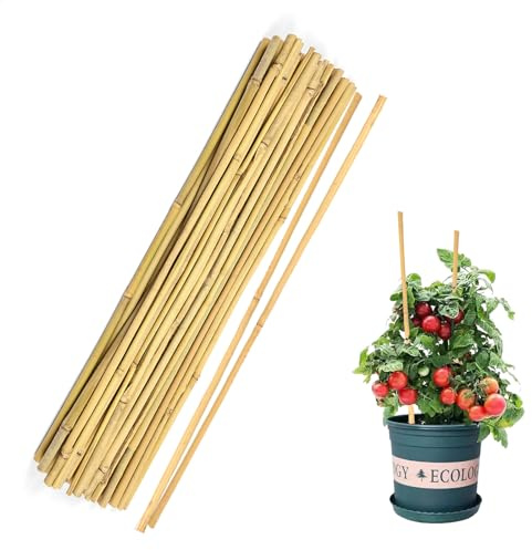 Cambaverd 40 varillas de bambú natural para plantas de interior y exterior, estacas de soporte de plantas de 16 pulgadas para tomate, frijoles, plantas en maceta y verduras