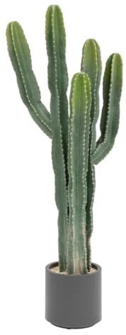 Atmosphera - Cactus Exotic Panama h117cm Vert