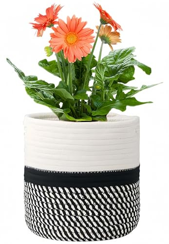 KMERCE Gross Pflanzkorb geflochten, Blumentopf Korb 25cm Durchmesser, übertöpfe für zimmerpflanzen, blumenkorb Indoor, übertopf Korb Gross innen Boho, pflanzentopf Gestrickt mit Griffen