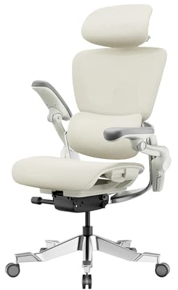 HINOMI H2 Pro Premium Ergonomic Office Chair - Comfy Home Office Desk Computer Chair with Adjustable Back Support, Swivel Wheels, Flip-up Arms, Ultra Soft Mesh Seat for Desk Work