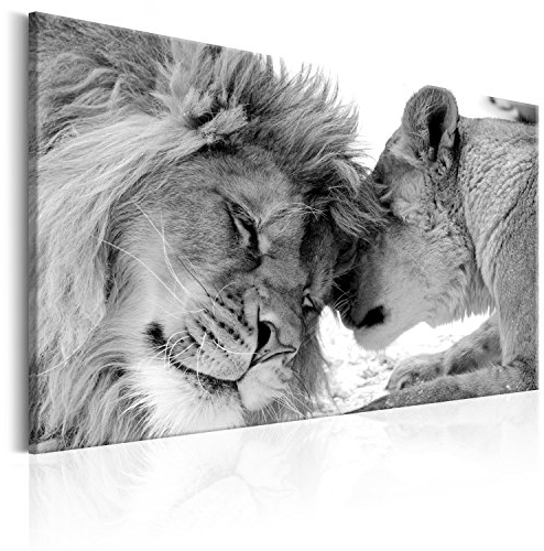 B&D XXL - Wandbilder XXL Löwe 120x80 cm 1 tlg Wand Deko Leinwand Bilder Groß Wanddeko Wohnzimmer Schlafzimmer Kunstdrucke - Löwen Liebe Afrika Tier g-B-0034-b-b