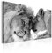 B&D XXL - Wandbilder XXL Löwe 120x80 cm 1 tlg Wand Deko Leinwand Bilder Groß Wanddeko Wohnzimmer Schlafzimmer Kunstdrucke - Löwen Liebe Afrika Tier g-B-0034-b-b