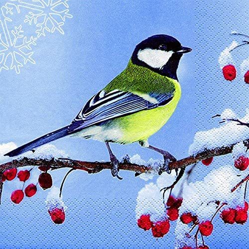 20 Servietten Kohlmeise auf frostigem Ast | Vogel | Tiere | Weihnachten | Winter | Tischdeko | Decoupage | Serviettentechnik 33x33cm