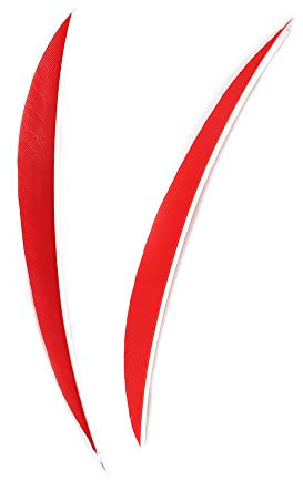 ACCMOS 5 Pfeilfedern Schießtraining Pfeil Truthahn Feder für Compound Bogen Recurve Bogen Bogenschießen Pfeil Zubehör 50 Stück (Red)