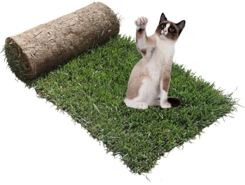 PetZolla Gatto Ricarica M - Cuccia in vero prato con erba gatta 90X52 cm | Ricambio facile da sostituire per il Kit Petzolla M, Cuccia per gatti da interno dura fino a 3 mesi - Made in Italy