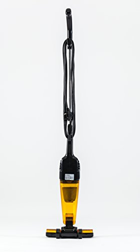 Merlin 2 en 1 - Mini aspiradora, Color Dorado