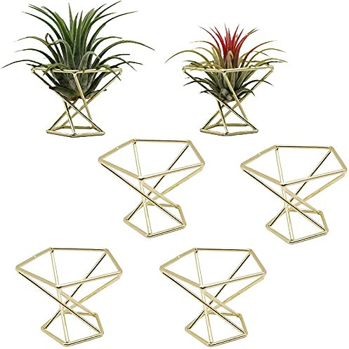 TRITAM 6 Piezas Soporte GeoméTrico para Plantas de Aire, Estantes para Plantas de Metal, Estantes para Macetas, DecoracióN Himmeli, Contenedores Tillandsia