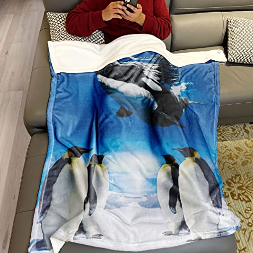 Violetpos Decke 150 x 200 cm Flanell Weich Fleecedecke Kuscheldecken SanftBettüberwurf Pinguin Delfin Tier