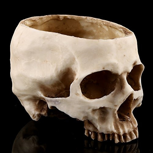 Rankomu Totenkopf-Blumentopf, Kunstharz-Blumentopf, Behälter-Replik, Retro-Halloween-Dekoration, Blumentopf, Kerzenbehälter, Totenkopf-Dekor