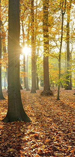 Melis-Folienwerkstatt Türtapete Türposter selbstklebend – Waldweg im Herbst - 90x205cm und 100x210cm - Fototapete Poster Türfolie Tapete – T00111
