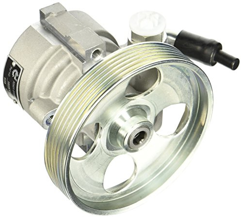 ESEN SKV Hydraulikpumpe, Lenkung 10SKV163 | Kompatibel mit: CITROËN BERLINGO / BERLINGO FIRST Großraumlimousine (MF_, GJK_, GFK_