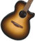 Ibanez AEG50 DHH - Westerngitarre