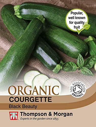 Courgette Seeds 'Black Beauty' Half-Hardy Vegetable Annual Garden Plants Easy to Grow Your Own at Home 1 Packet of 15 Seeds by Thompson and Morgan