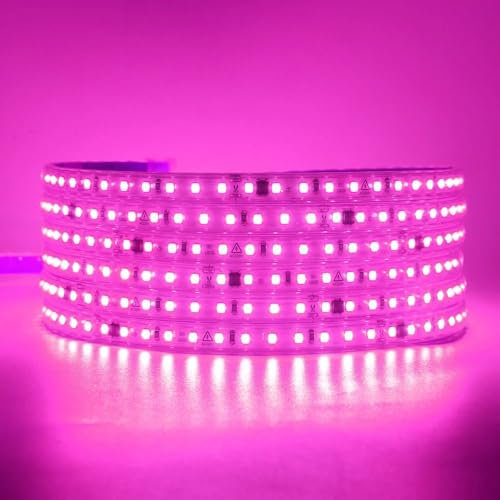 TOT ELECTRIC 2MT STRISCIA LED LUCE FUCSIA 220V IP65 Alta Luminosità, Senza Spina o Alimentatore, Illuminazione Diretta per Esterno, Facile da Installare Adesiva
