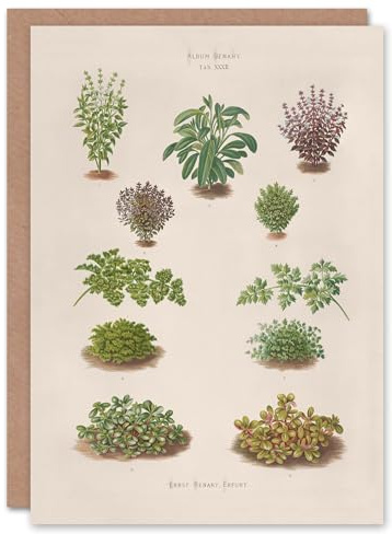 Artery8 Ernst Benary Art Card Botanical Bushes Vintage Illustration