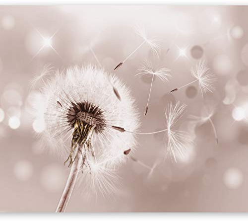 murando Fototapete selbstklebend Pusteblumen 294x210cm Foto Tapete Tapetenfolie Möbelfolie Wandverkleidung Wandtapete Motivtapeten Bildtapete Wohnzimmer 3d Effekt Modern Blumen Natur vintage beige
