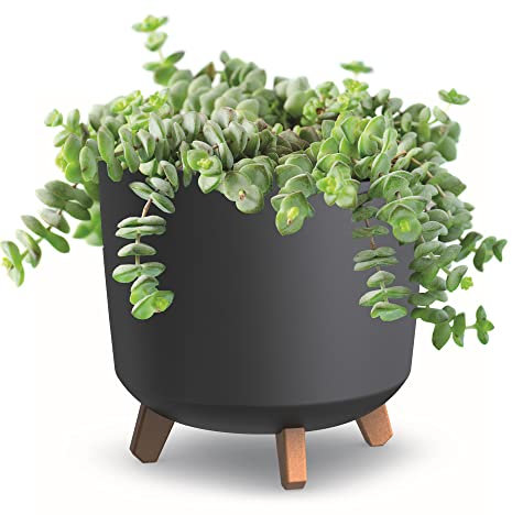 botle Blumentopf mit Füßen Weiß Matte Pflanzkübe D 30 cm Kunststoff Töpfe HOH Übertöpfe Geldbaum Kakteen Gummibaum Glücksfeder