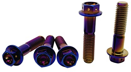 RISON Titanium Bolzen M10x1.25x60mm Titan Flansch Schrauben TC4 Titan Schrauben Sechskantschraube gebrannt Blau GR5 Titan Bolzen 5 Stück
