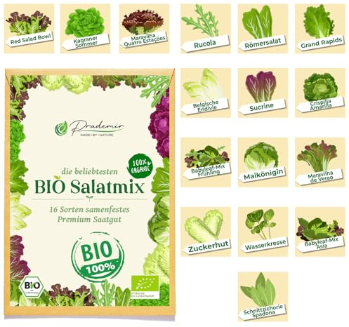 Prademir BIO semillas de lechuga 16 variedades de semillas resistentes a las semillas antiguas variedades de semillas de lechuga conjunto BIO