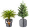 DKINY 2PCS Voiles Hivernage pour Plante Pot Exterieur 45x50 CM Housse d'Hivernage Protection Racine Plantes en Pot Réutilisable pour Protéger Arbre Fruitier Olivier Palmier