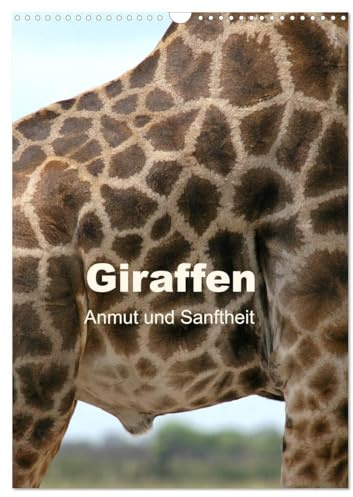 Giraffen - Anmut und Sanftheit (Wandkalender 2026 DIN A3 hoch), CALVENDO Monatskalender: Begegnungen mit Giraffen in Afrika (CALVENDO Tiere)